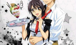 会长是女仆大人动漫全集,甜蜜女仆的奇幻冒险之旅