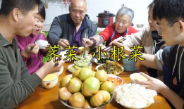 千金爆料全家吃瓜,全家齐吃瓜，娱乐圈大揭秘