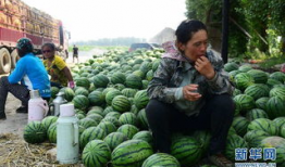 长垣县今日吃瓜爆料,吃瓜爆料，揭秘幕后真相